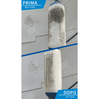 Blue Marine Forza 100 universele bootreiniger